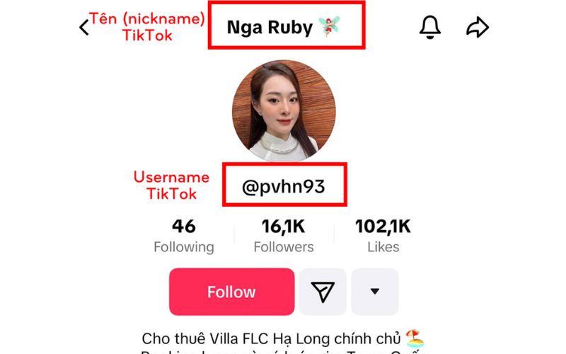 cách xây dựng kênh TikTok